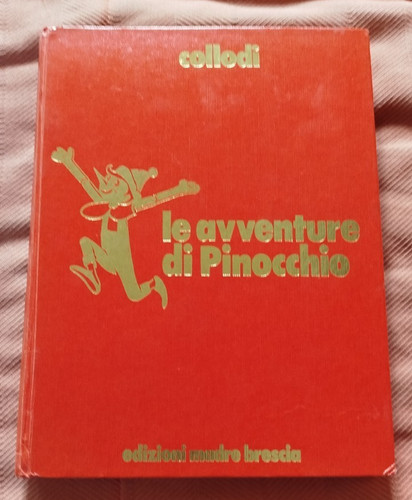 Avventure pinocchio - le,