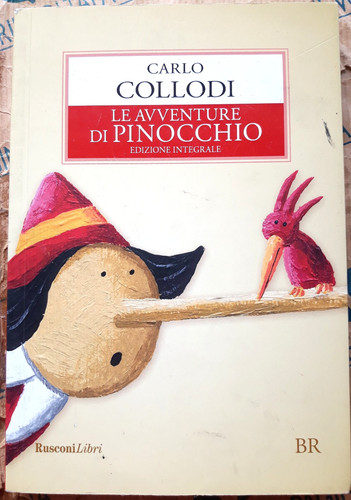 Avventure pinocchio - le,